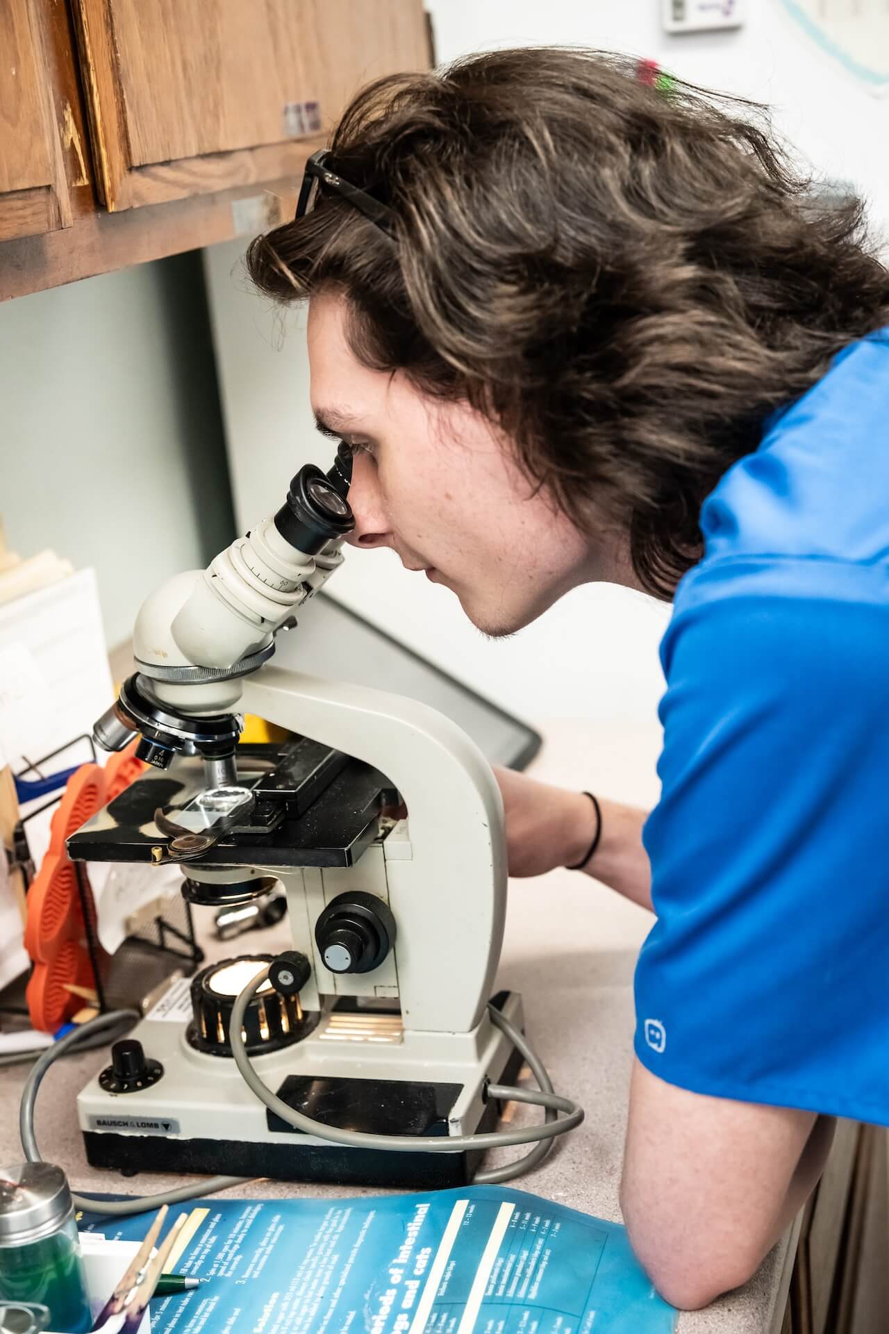 Dog lab work 
