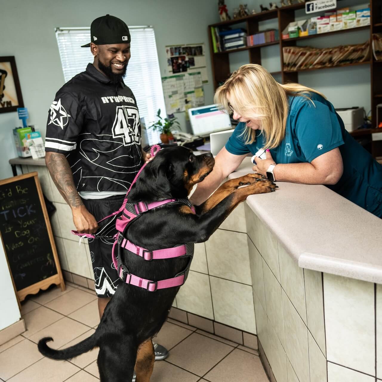 decor image on Brownswitch Pet Hospital